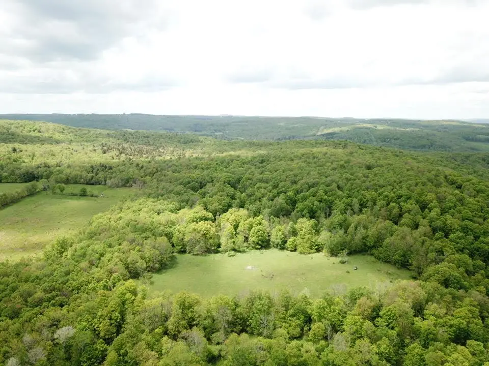 0 Dubois, Livingston Manor, NY 12758 - Image #1