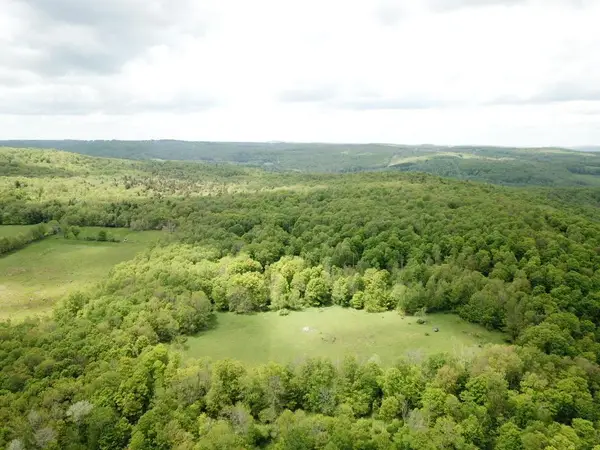 0 Dubois, Livingston Manor, NY 12758