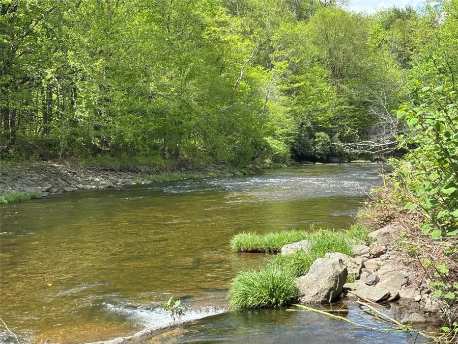 0 Dubois, Livingston Manor, NY 12758 - Image #2