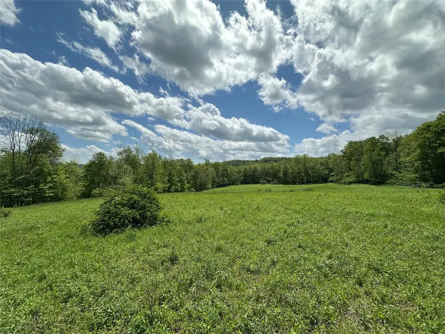 0 Dubois, Livingston Manor, NY 12758 - Image #3