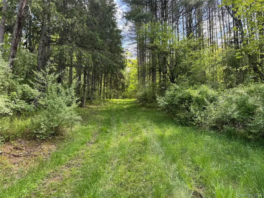 632 New Turnpike Road, Cochecton, NY 12726 - Image #3