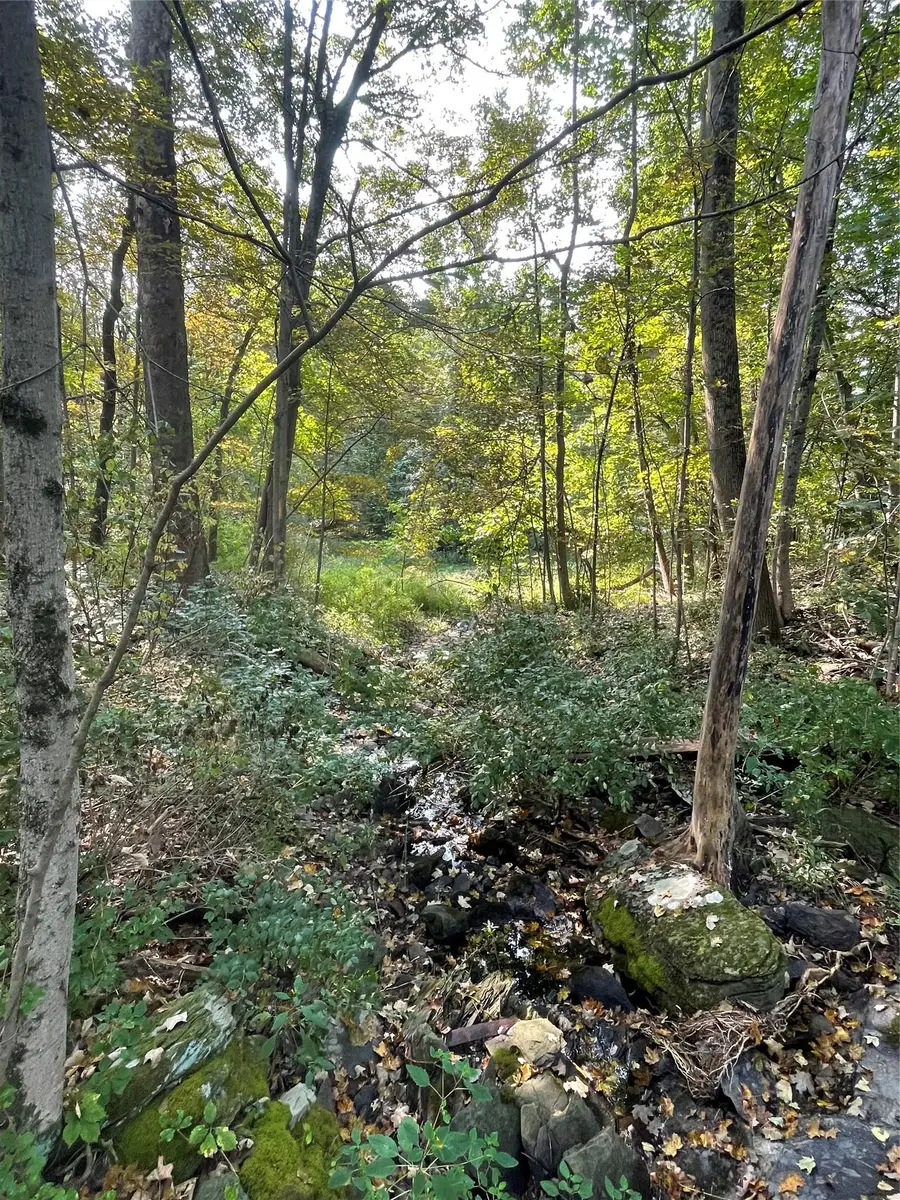 24 Beck Road, Poughkeepsie, NY 12601 - Image #3