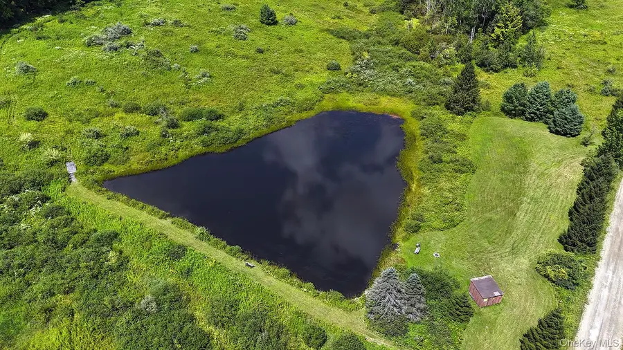 3392 Eminence Road, Hancock, NY 13783 - #2