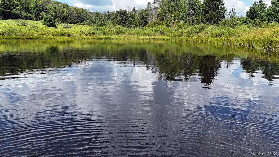 3392 Eminence Road, Hancock, NY 13783 - #3