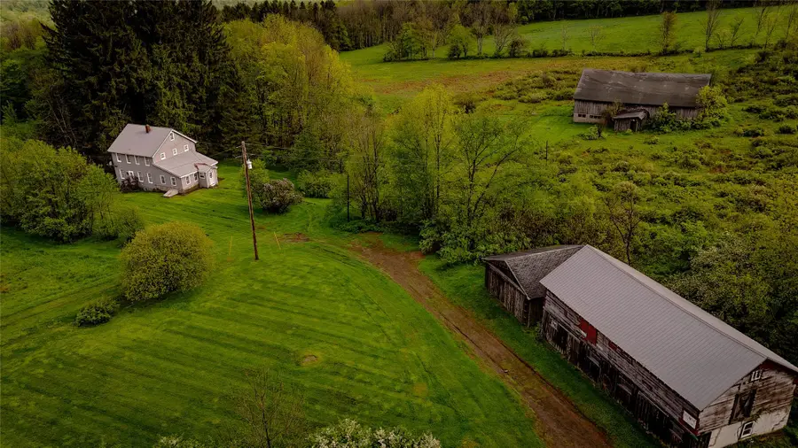 187 Hahn Road, Callicoon Town, NY 12758 - Image #2