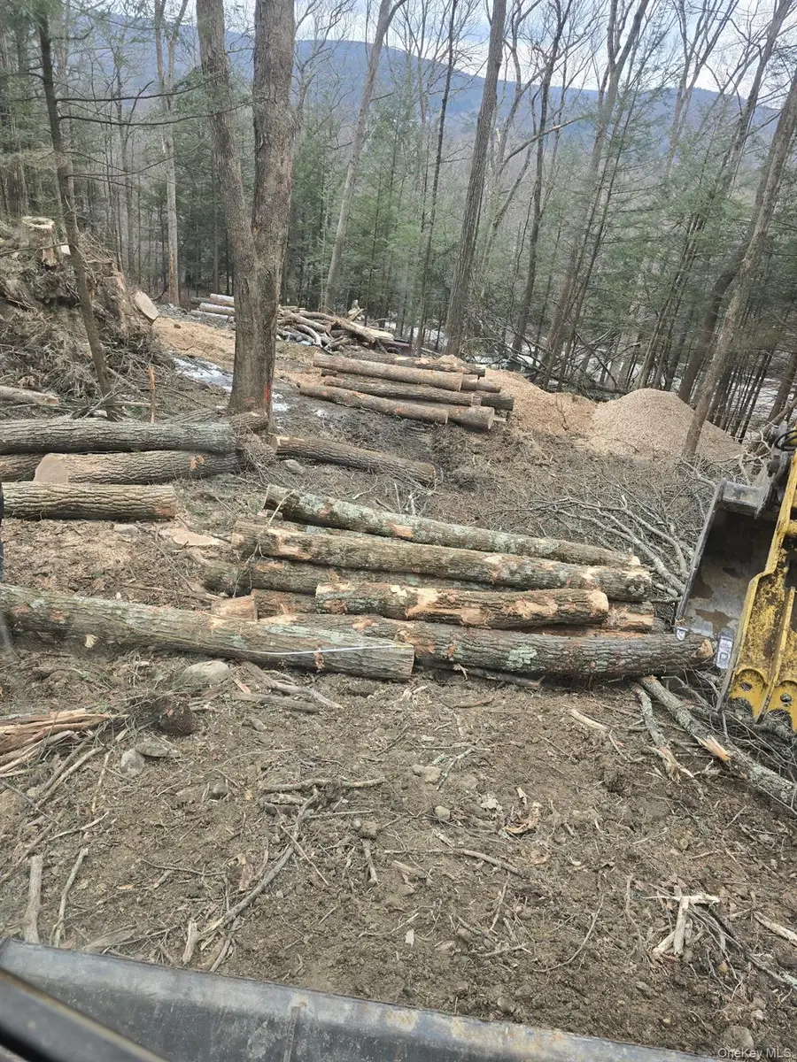 Mamakating Road, Wurtsboro, NY 12790 - #2