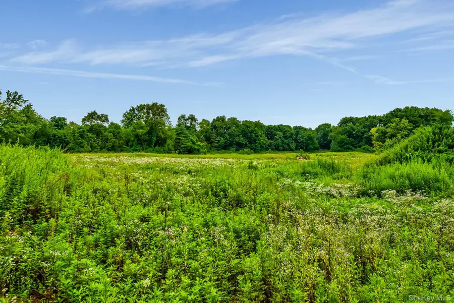 172 Hegemans Lane, Old Brookville, NY 11545 - Image #3