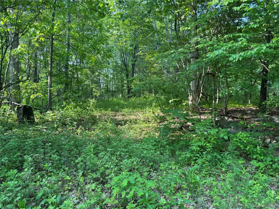 16 Saul Trail, Wallkill, NY 12589 - Image #2