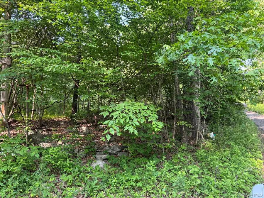 16 Saul Trail, Wallkill, NY 12589 - Image #3