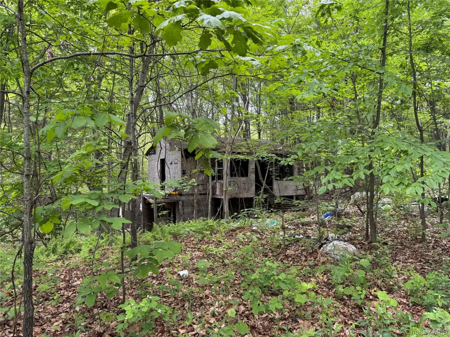 24 Saul Trail, Wallkill, NY 12589 - Image #3