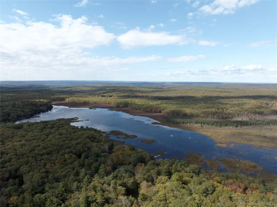 3 Big Lake Road, Huguenot, NY 12746 - Image #2