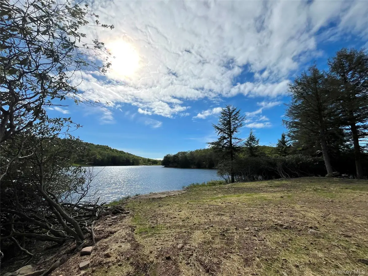 47 Eagles Ridge Way, Parksville, NY 12768 - Image #1