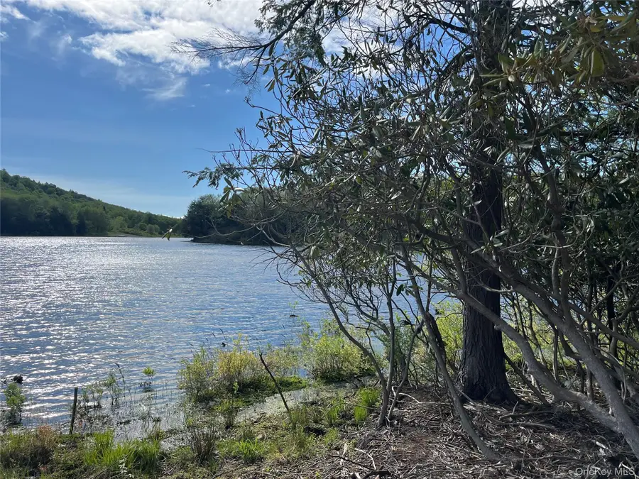 47 Eagles Ridge Way, Parksville, NY 12768 - Image #2