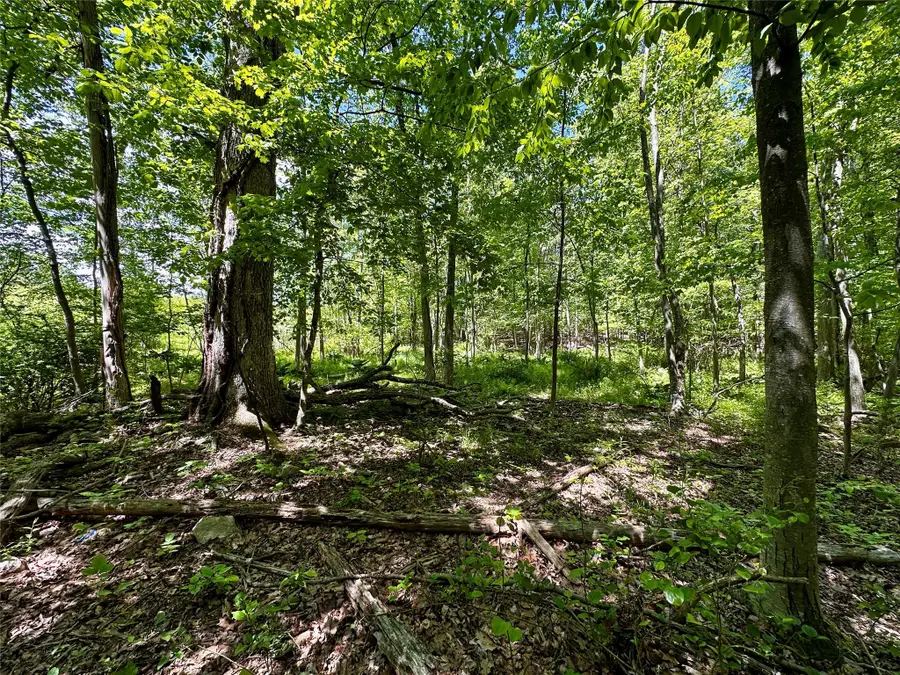 Rye Hill Road, Monroe, NY 10950 - Image #2