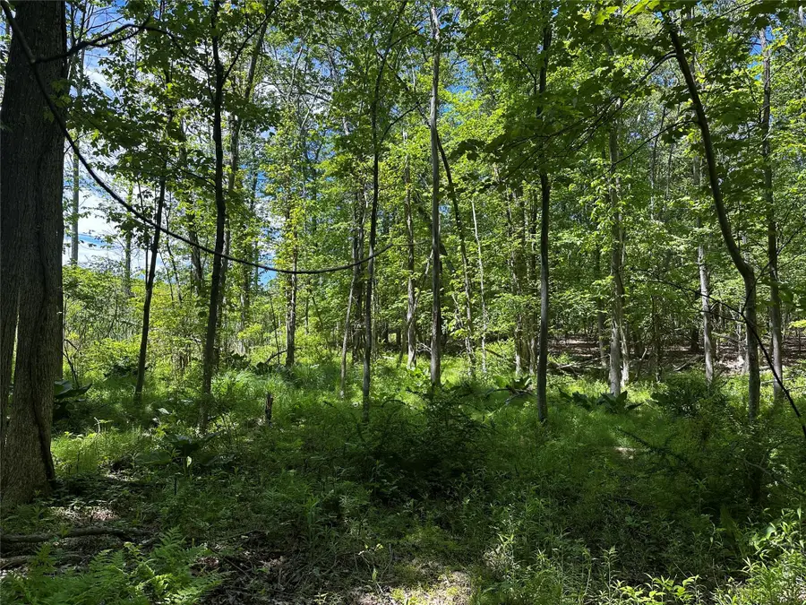 Rye Hill Road, Monroe, NY 10950 - Image #3