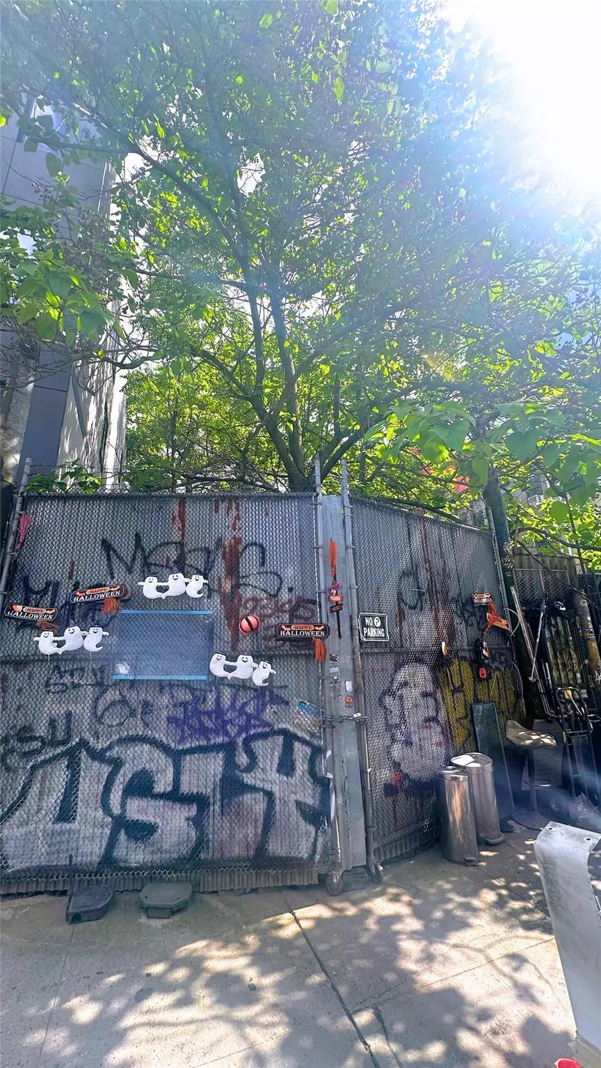 196 Clifton Place, Brooklyn, NY 11216 - Image #1