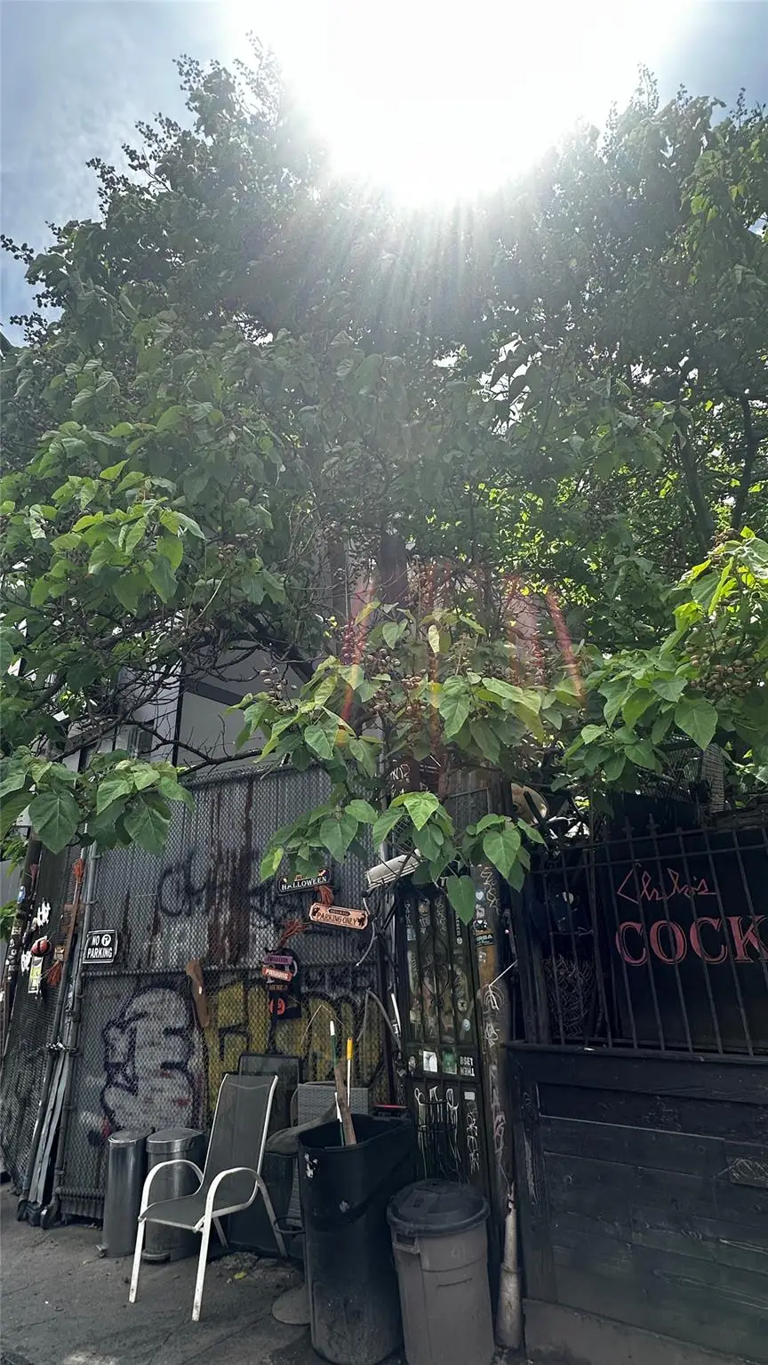 196 Clifton Place, Brooklyn, NY 11216 - Image #2