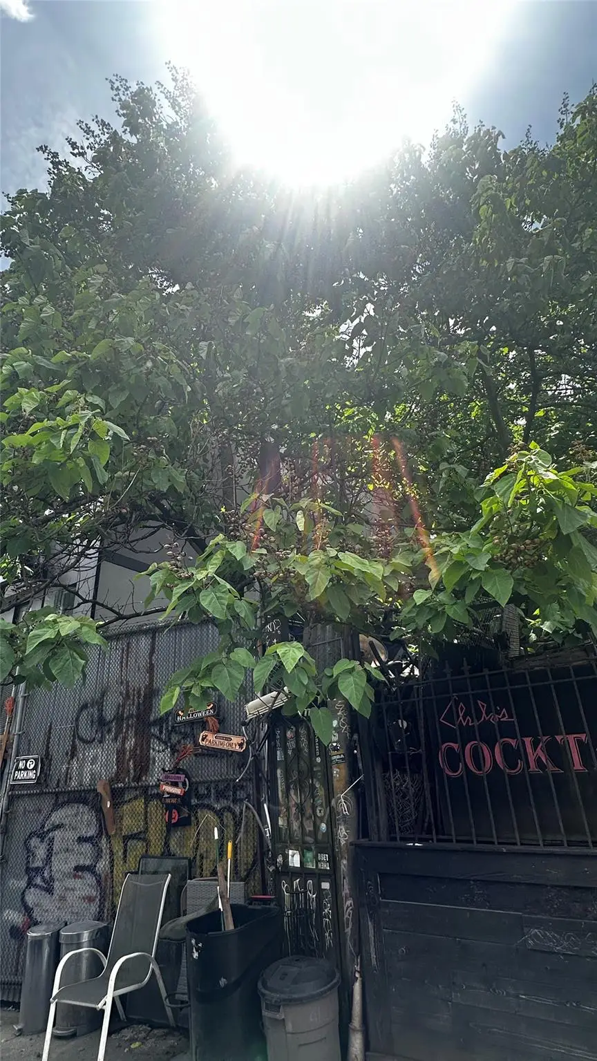 196 Clifton Place, Brooklyn, NY 11216 - Image #3