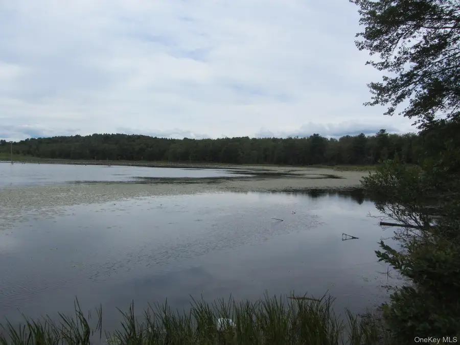 T/B/D Fraser Road, Monticello, NY 12701 - Image #2