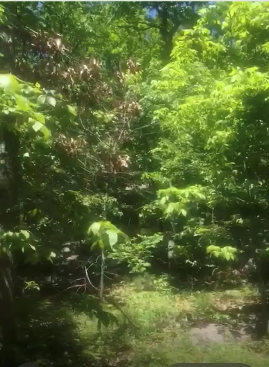 190 Brook Trail, Warwick Town, NY 10990 - Image #2