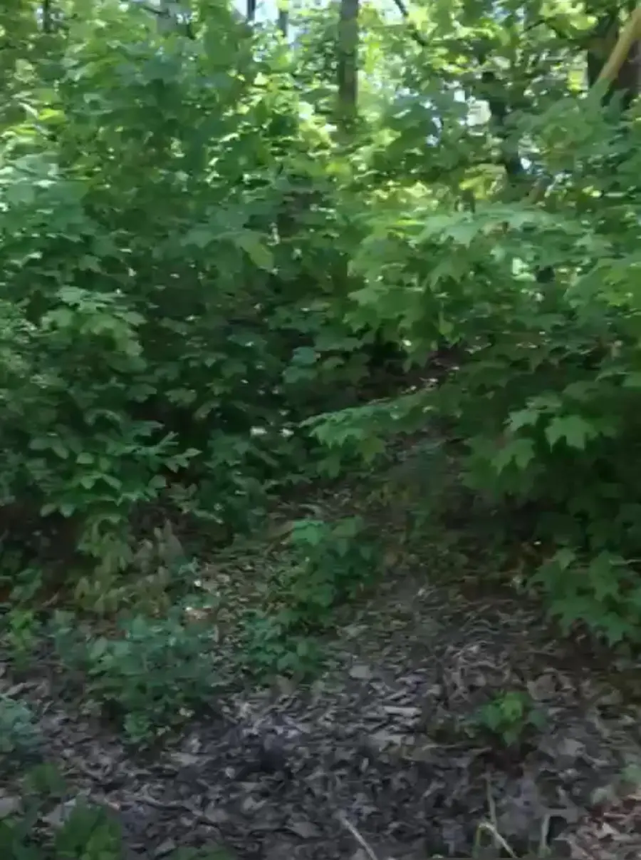 190 Brook Trail, Warwick Town, NY 10990 - Image #3