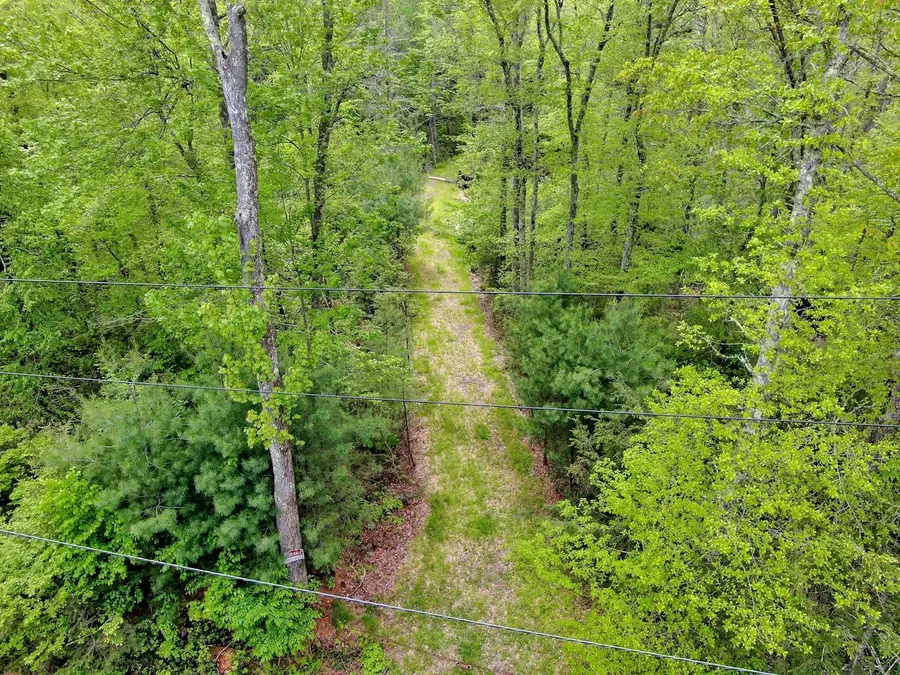 TBD Plank Rd, Forestburgh, NY  - Image #2