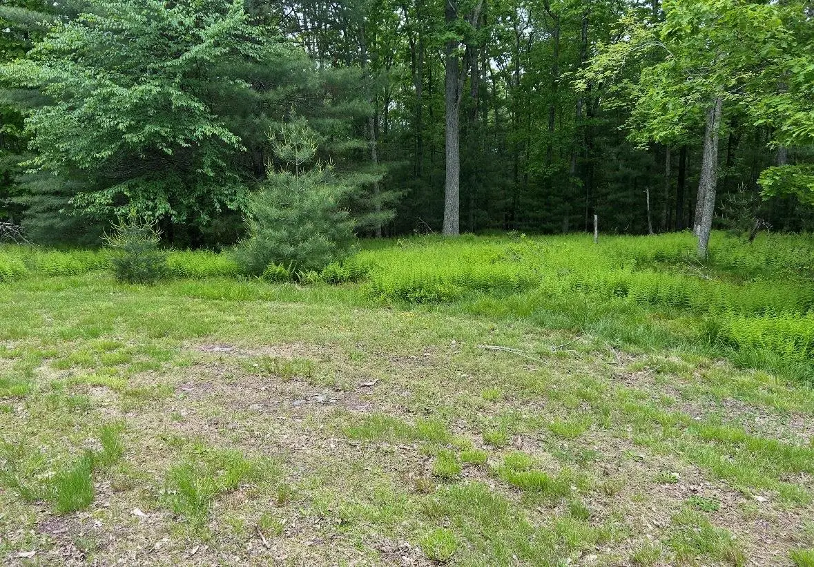 Lot 45 Split Rock Drive, Barryville, NY 12719 - Image #1