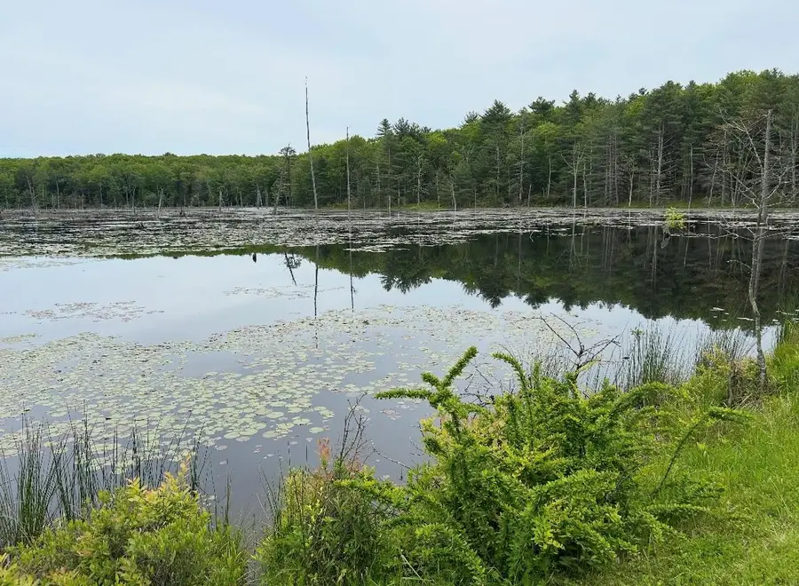 Lot 45 Split Rock Drive, Barryville, NY 12719 - Image #2