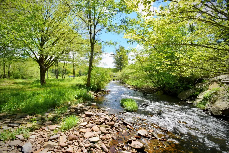 7 Bonnie Brook Road, Roscoe, NY 12776 - Image #2