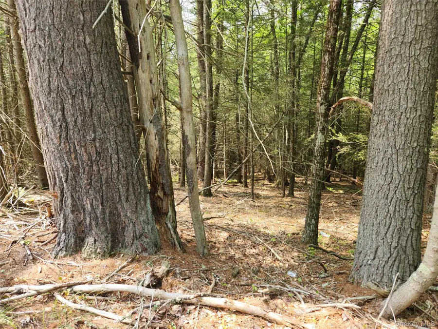 Highland Lake, Eldred, NY 12732 - Image #2