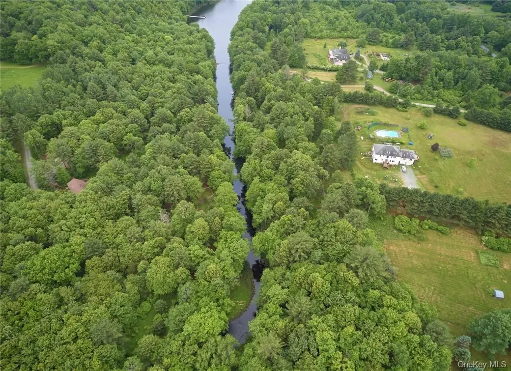 Lot 1 Chapin Trail, White Lake, NY 12786 - #1