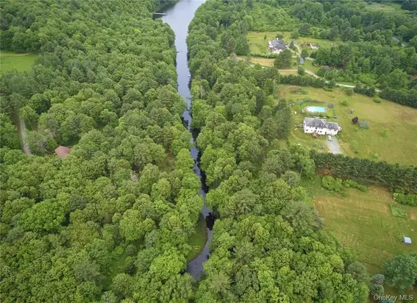 Lot 1 Chapin Trail, White Lake, NY 12786