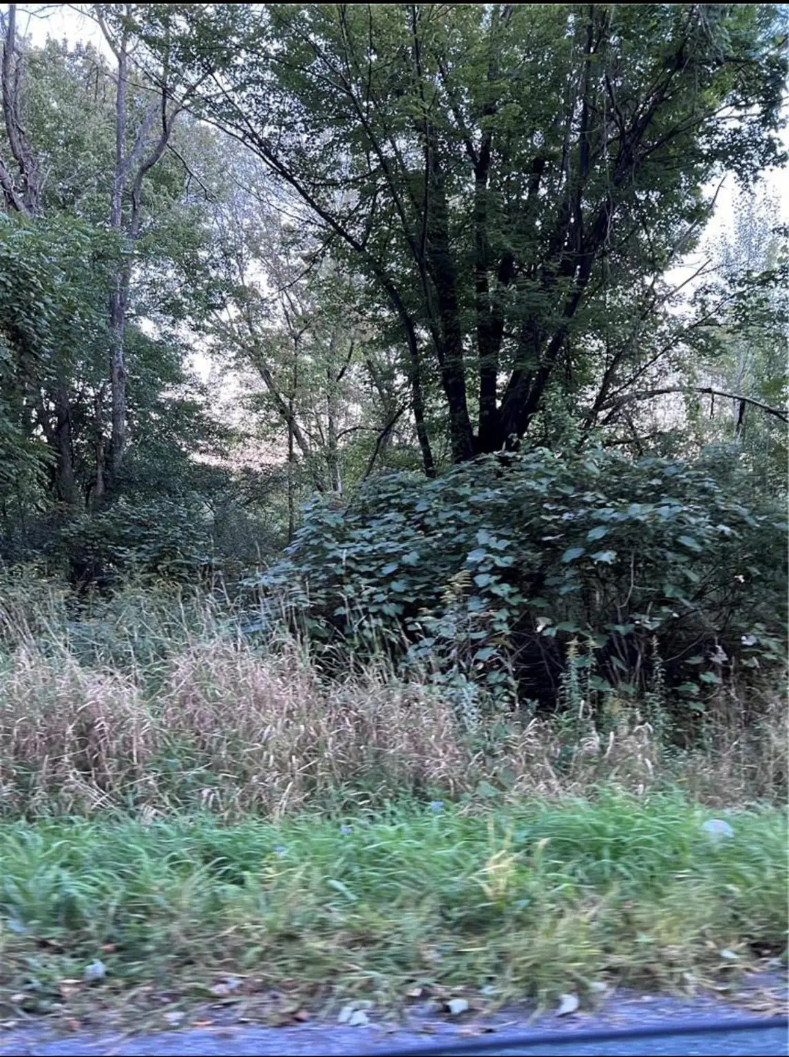 Greenville Turnpike, Port Jervis, NY 12771 - Image #1