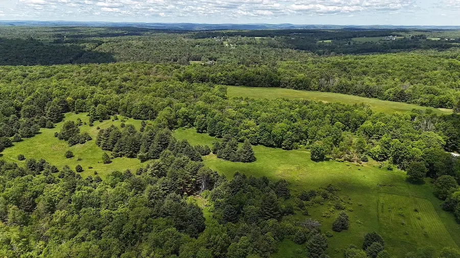 342 Bernas Road, Cochecton, NY 12726 - Image #2