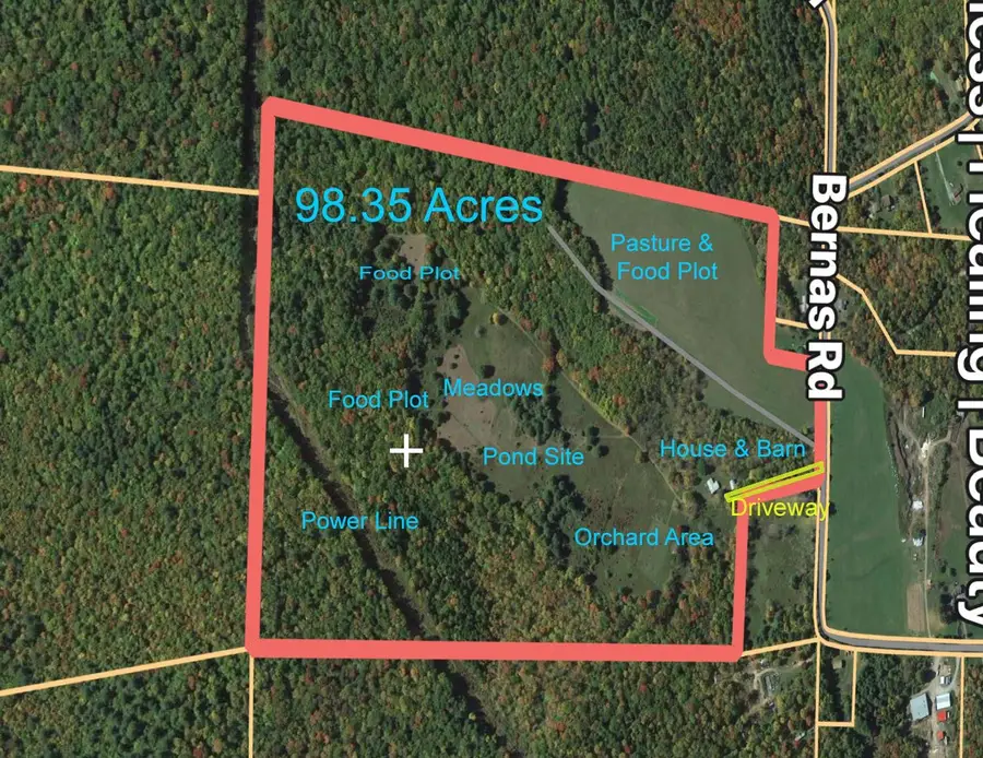 342 Bernas Road, Cochecton, NY 12726 - Image #3