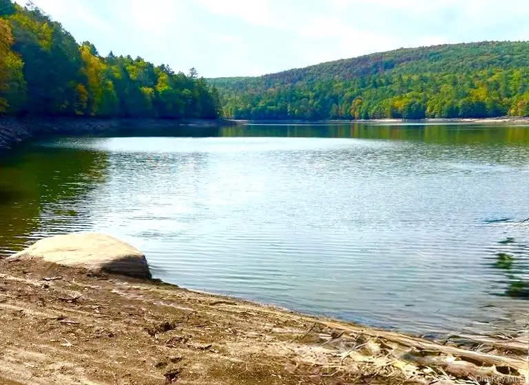 131 Old Plank Road, Deerpark, NY 12780 - Image #3