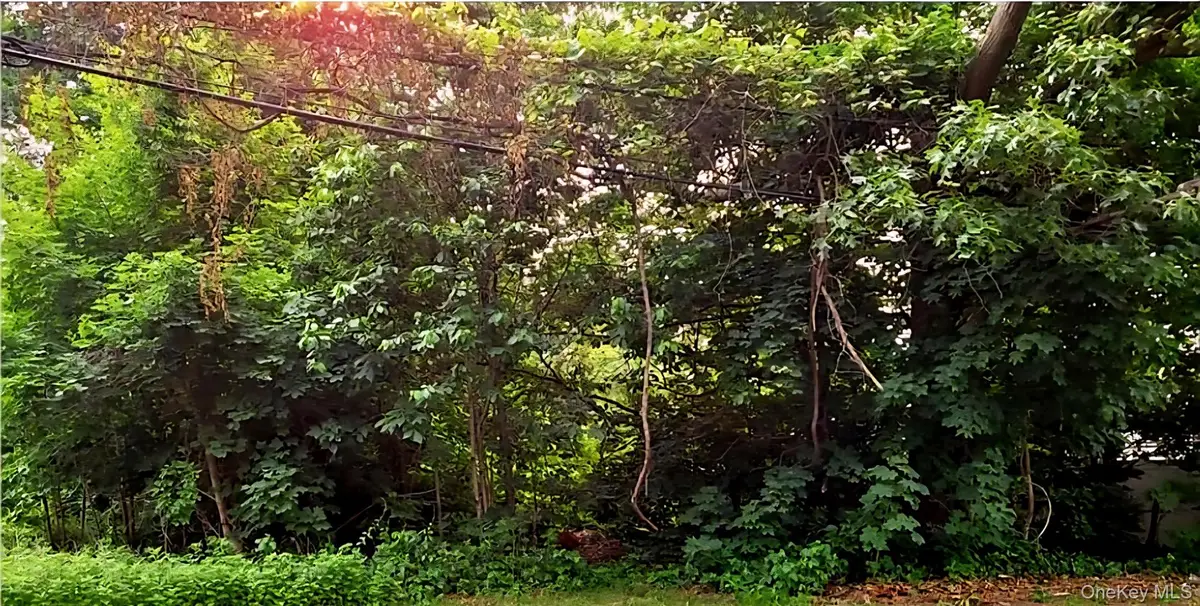 191 Ronkonkoma Avenue, Ronkonkoma, NY  - Image #1