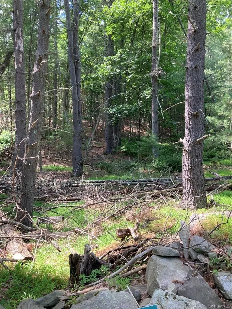 Irishtown Road, Narrowsburg, NY 12764 - Image #2