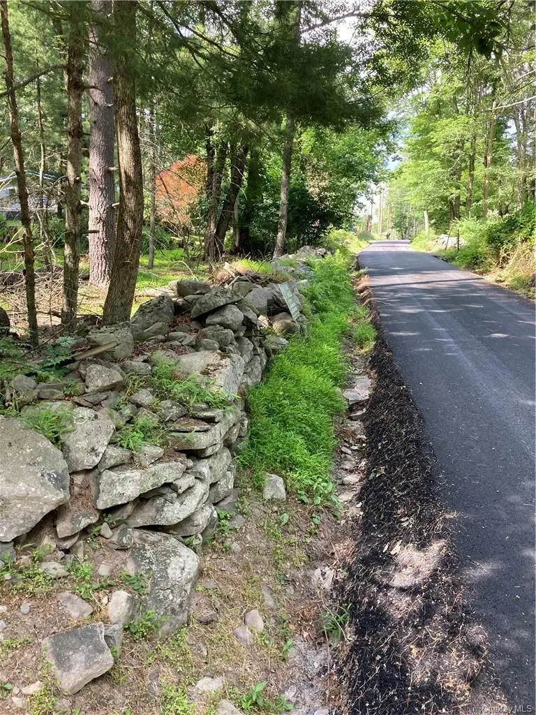 Irishtown Road, Narrowsburg, NY 12764 - Image #3