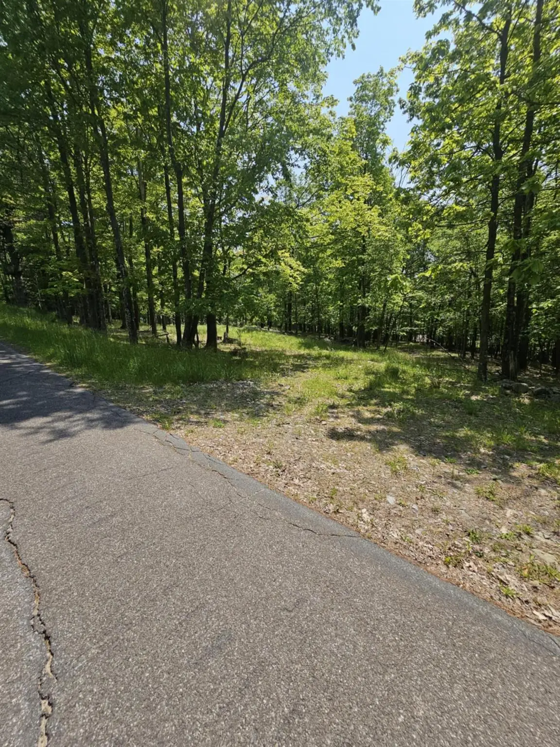 Skyline Drive, Neversink, NY 12765 - Image #1