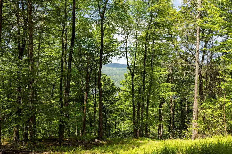 2 Red Rock Road, Wawarsing, NY  - Image #3