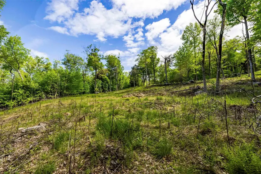 3 Red Rock Road, Wawarsing, NY 12489 - #3