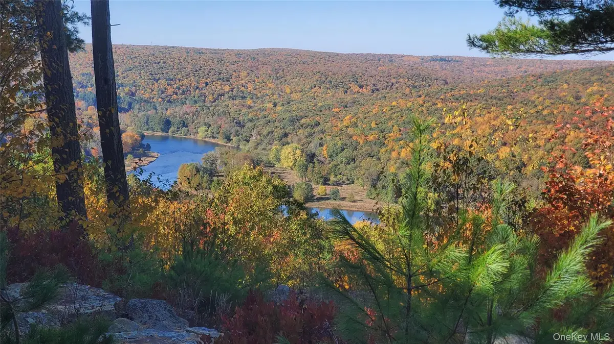 Lot 1 Eagle View Road, Narrowsburg, NY 12764 - Image #1