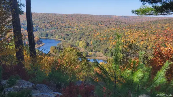 Lot 1 Eagle View Road, Narrowsburg, NY 12764