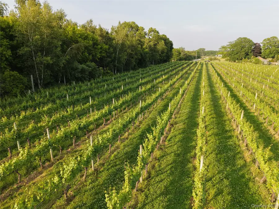 1135 Boisseau Avenue, Southold, NY 11971 - Image #3