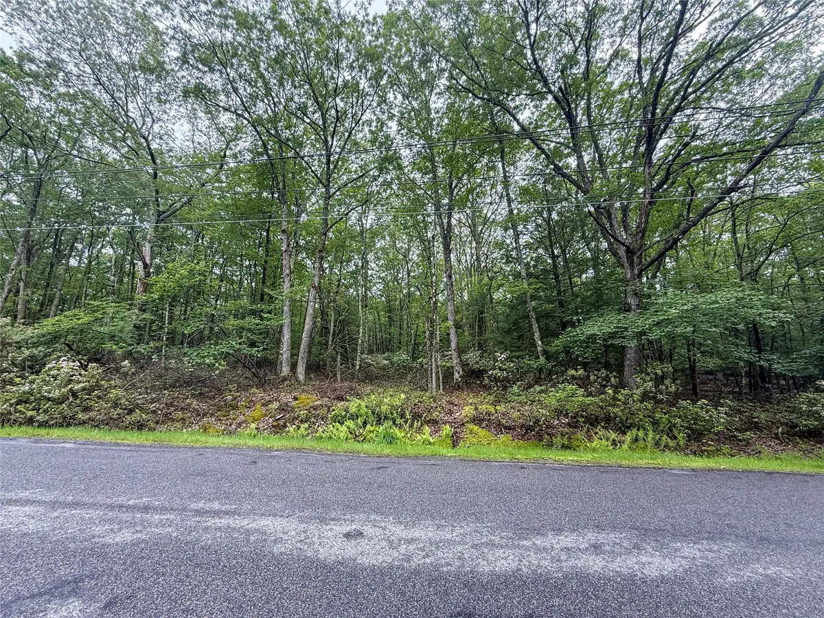 Old Sackett Road, Rock Hill, NY 12775 - Image #1