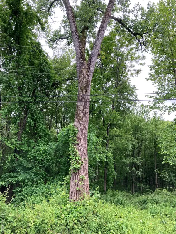 30 Luty Drive, Hyde Park, NY 