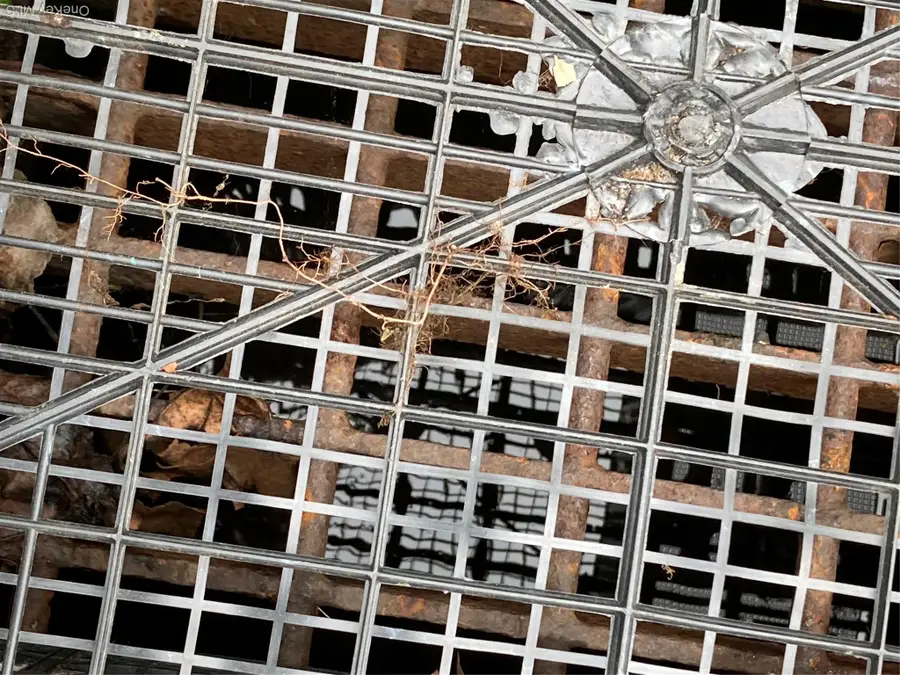 30 Luty Drive, Hyde Park, NY  - Image #2