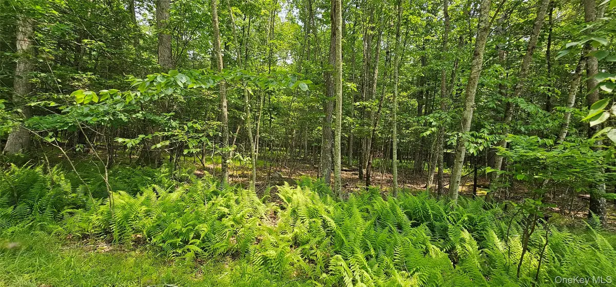 Lot 3 Woods Road, Barryville, NY 12719 - Image #1