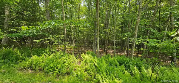 Lot 3 Woods Road, Barryville, NY 12719